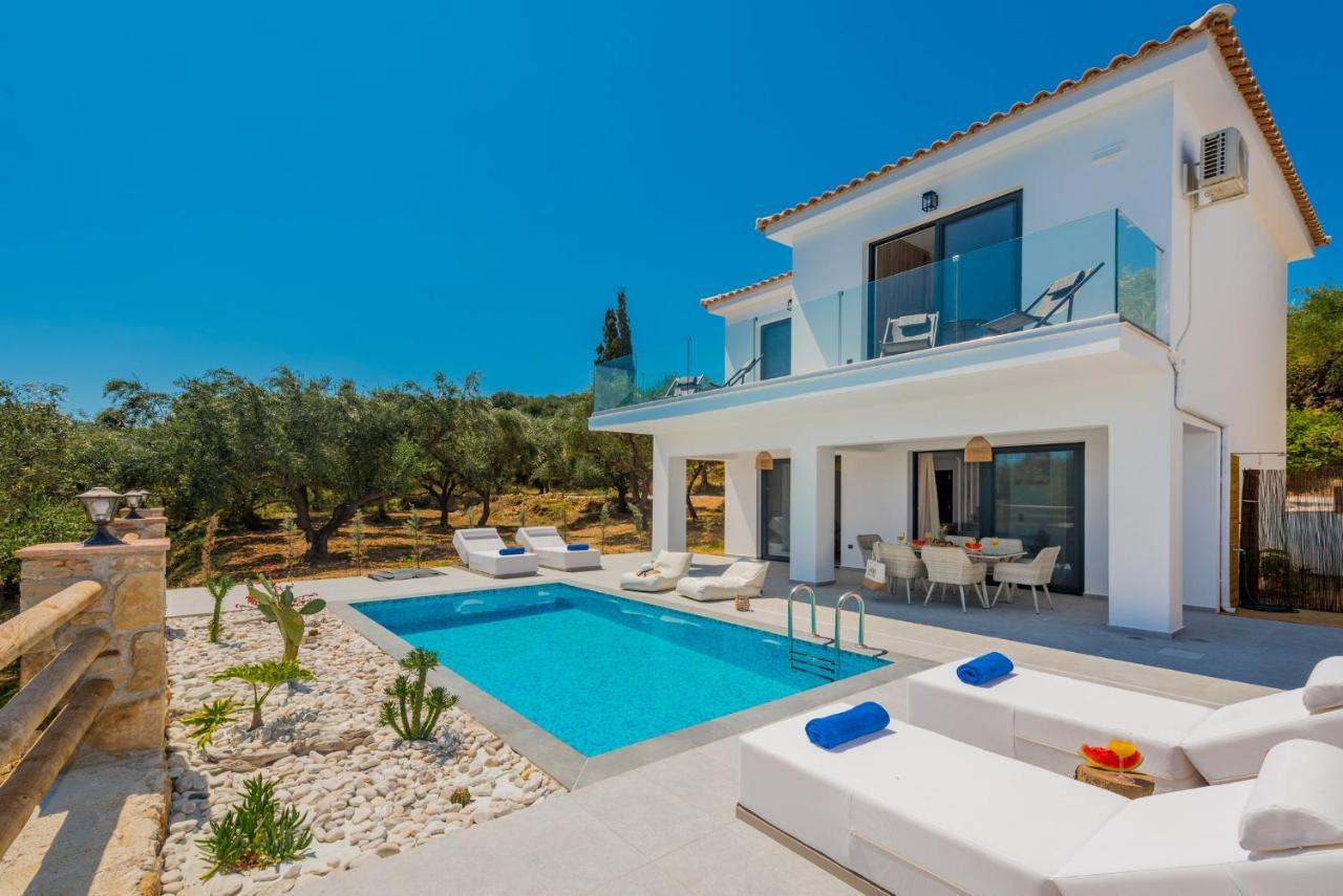 Queen Of Zakynthos Luxury Villas 阿莫迪 外观 照片